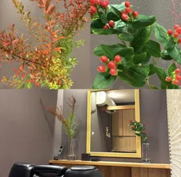 今週のお花をご紹介します